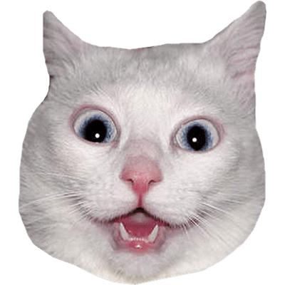 Cat Head PNG HD Isolated