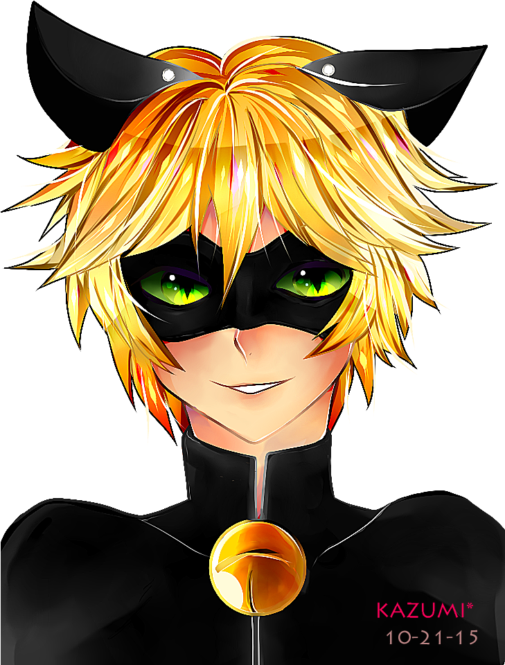Cat Noir PNG Isolated HD