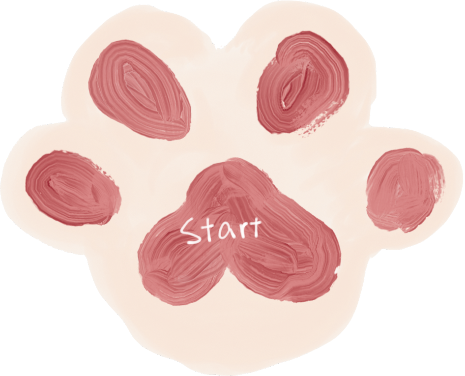 Cat Paw PNG HD Isolated