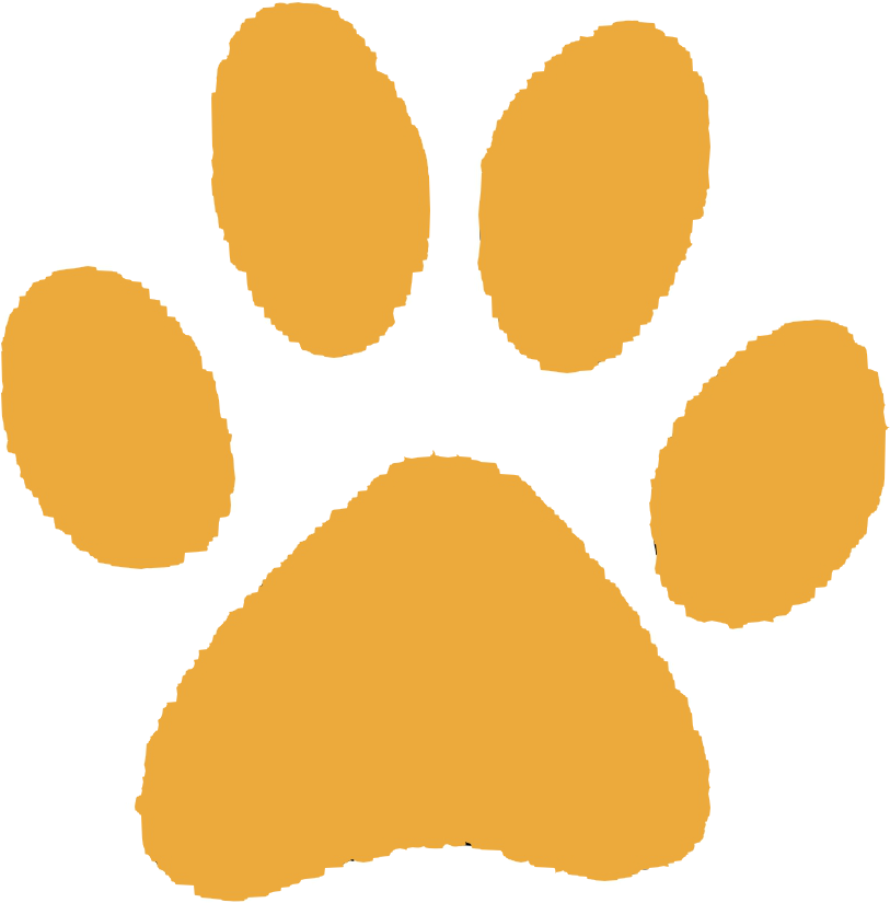 Cat Paw PNG Picture