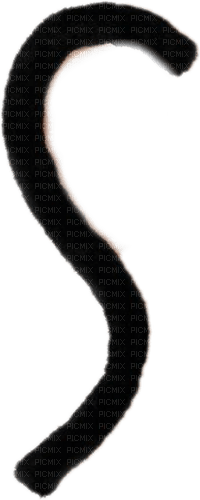 Cat Tail PNG File