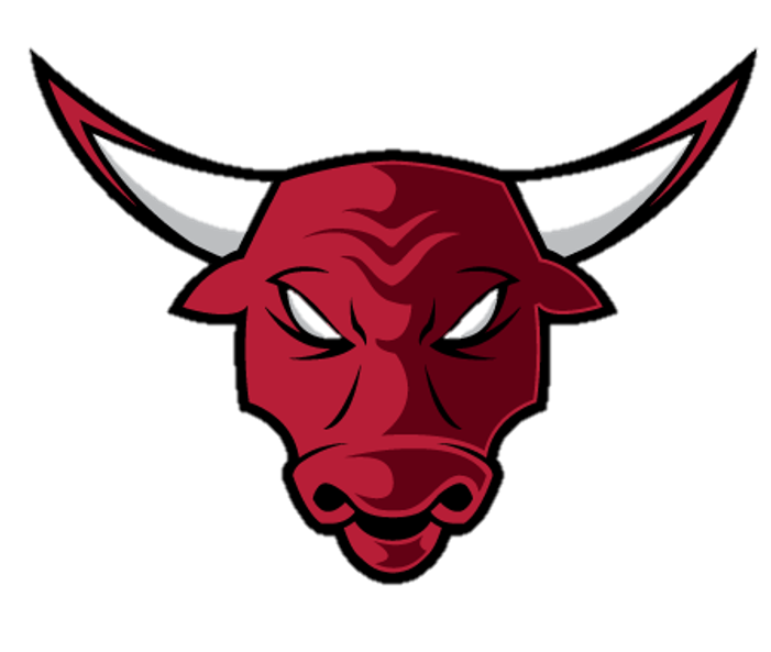 Chicago Bulls Logo PNG HD