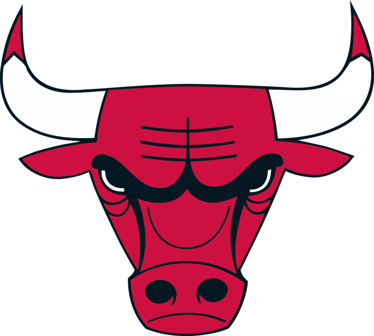 Chicago Bulls Logo PNG Isolated HD