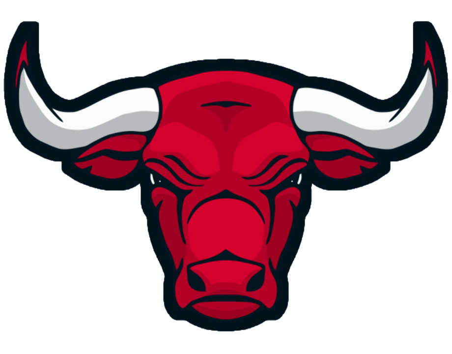 Chicago Bulls Logo PNG Picture