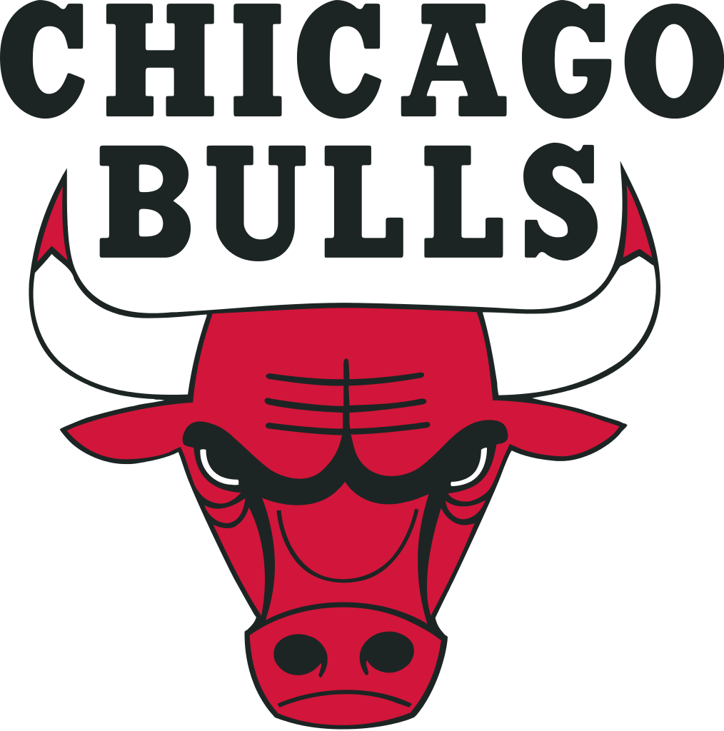 Chicago Bulls Logo PNG