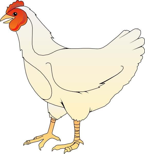 Chicken Cartoon PNG Free Download