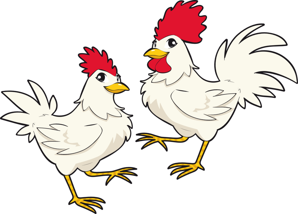 Chicken Cartoon PNG HD