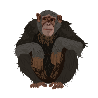 Chimp PNG File