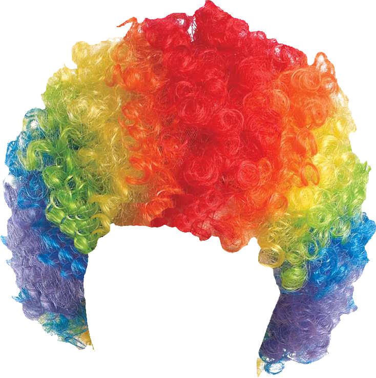 Clown Wig PNG Pic