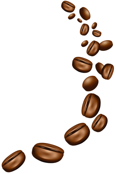 Coffee Bean PNG HD