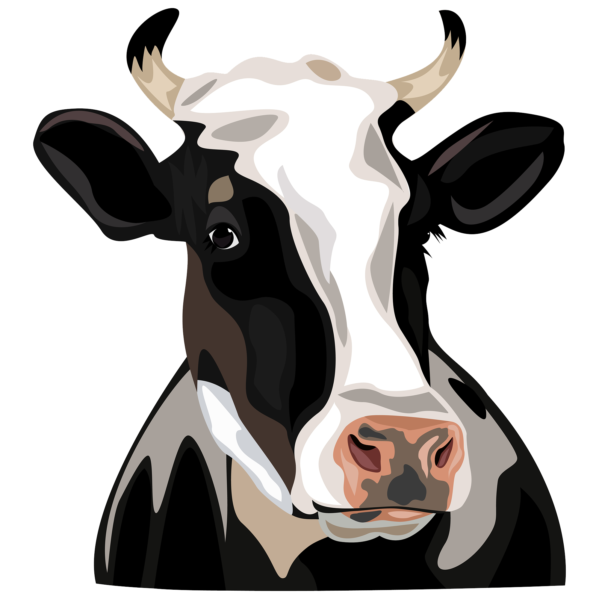 Cow Head PNG Isolated Pic