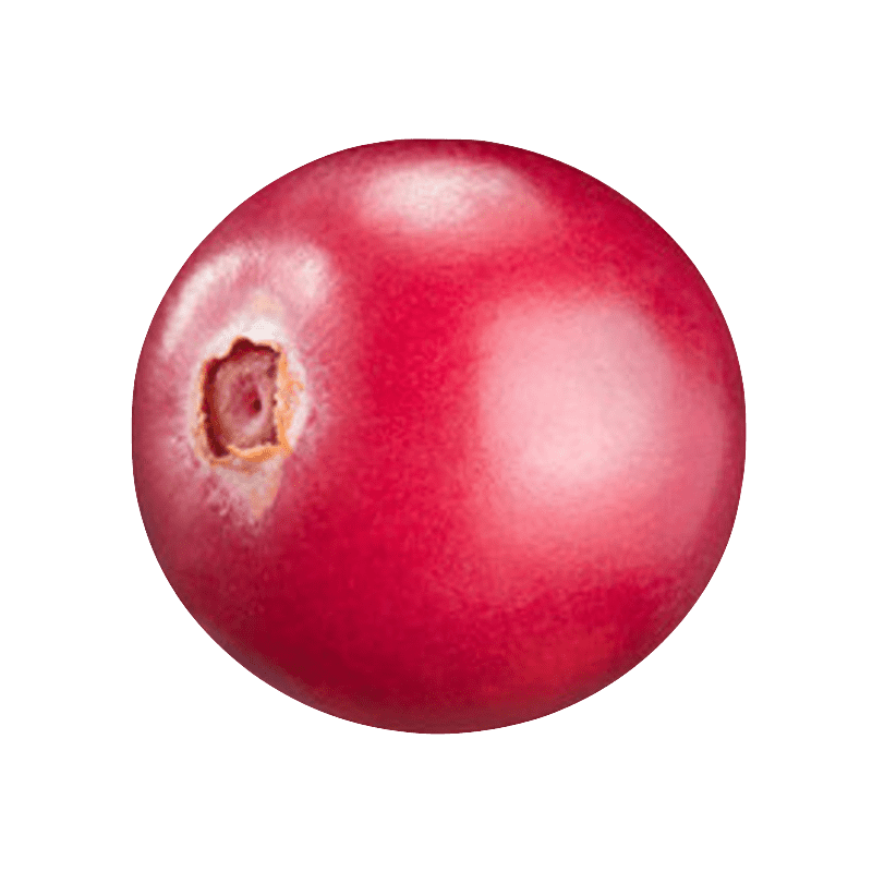 Cranberry PNG Photo