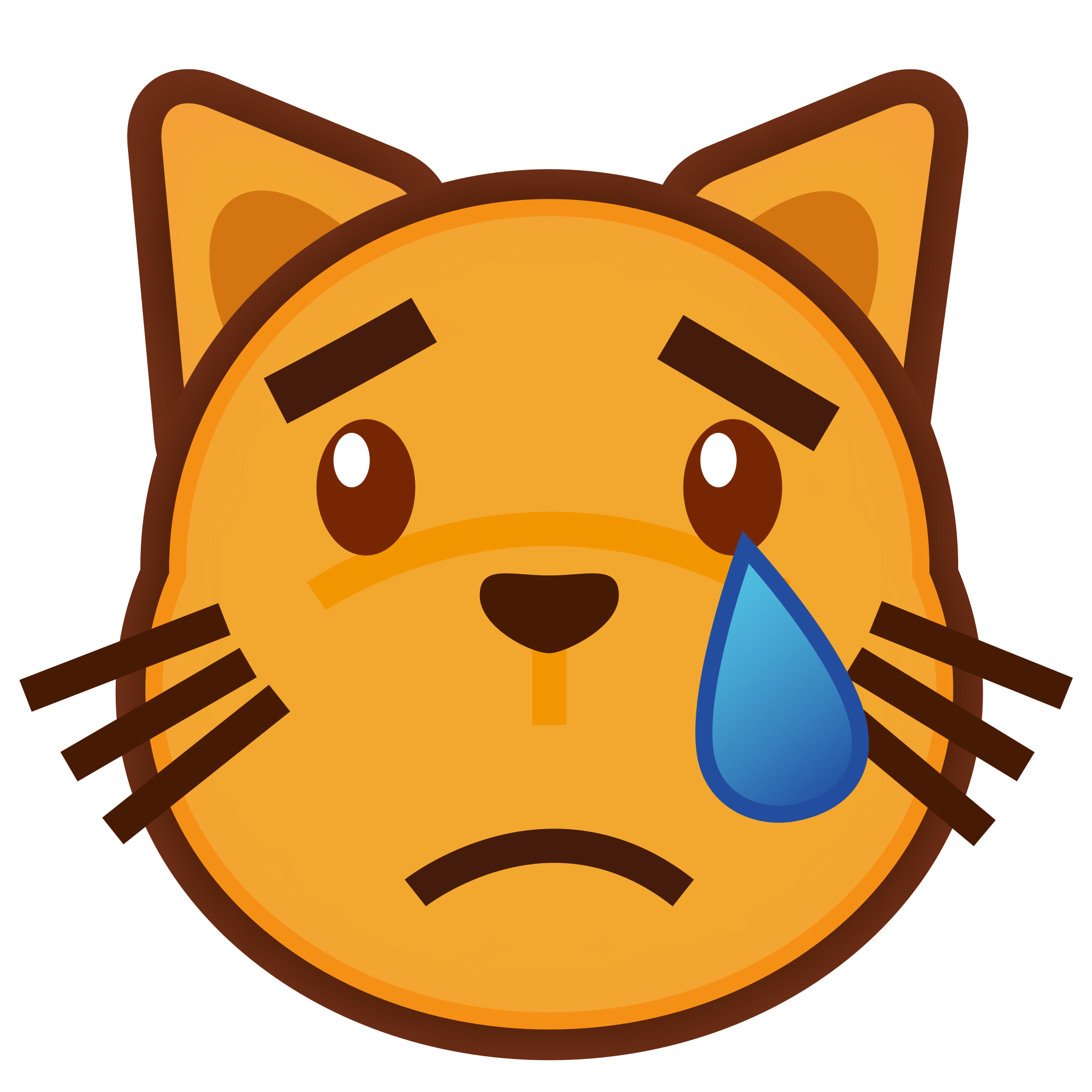 Crying Cat PNG Isolated File