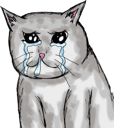 Crying Cat Transparent PNG