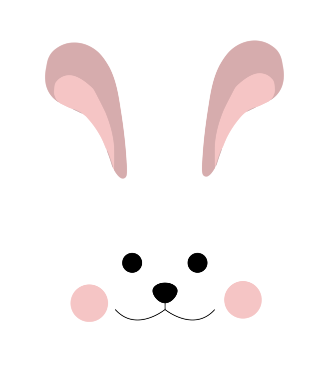 Cute Bunny Transparent PNG