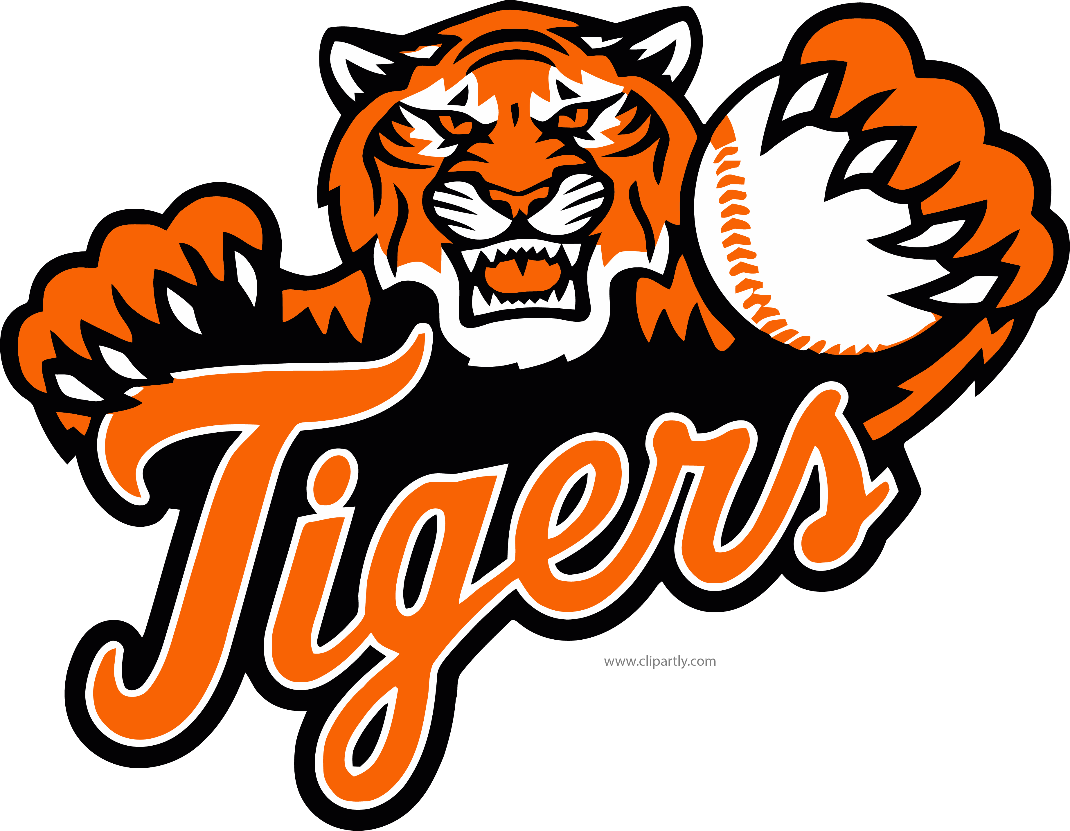 Detroit Tigers Logo PNG Pic