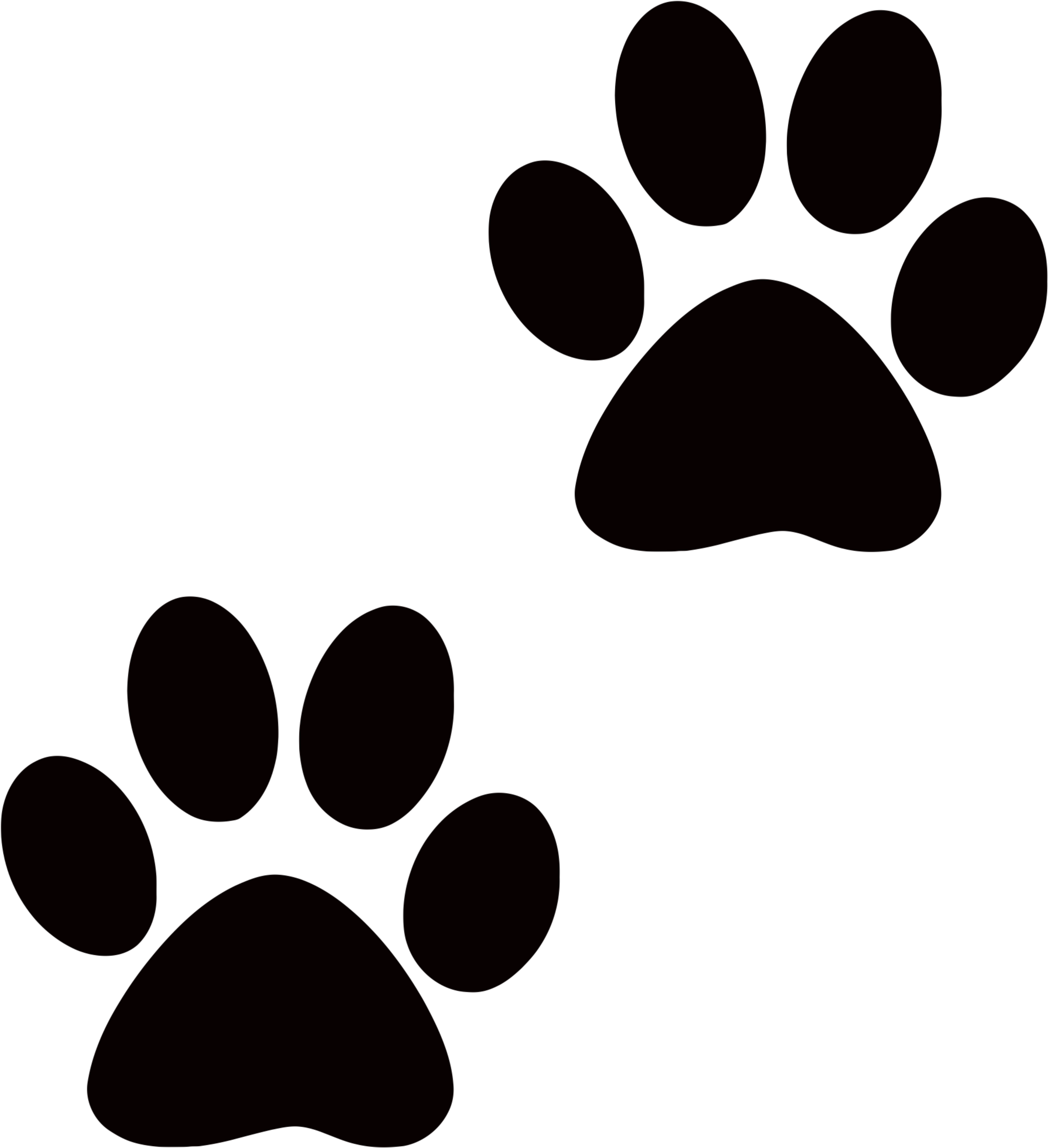 Dog Paw PNG Transparent