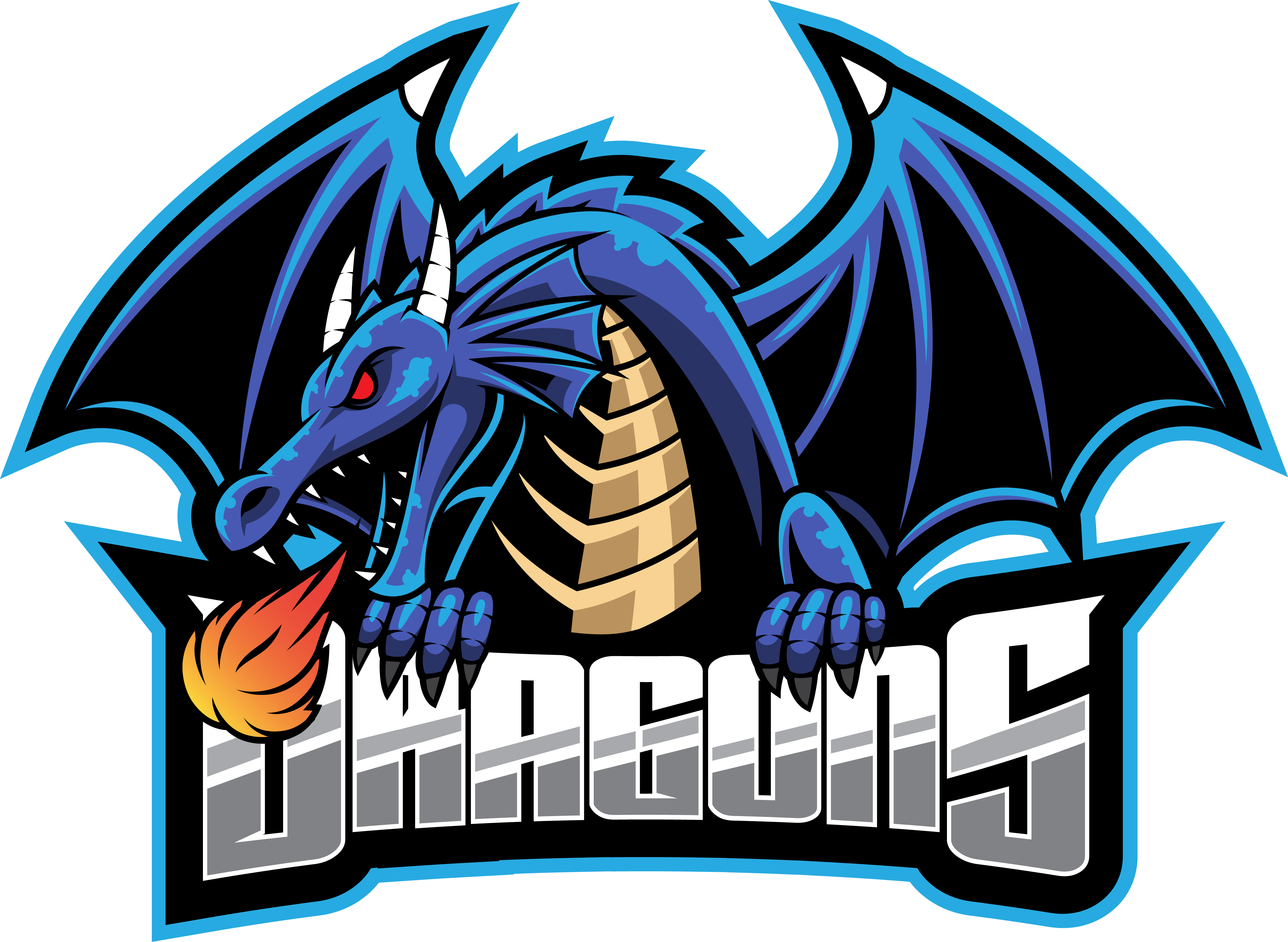Dragon Logo PNG HD