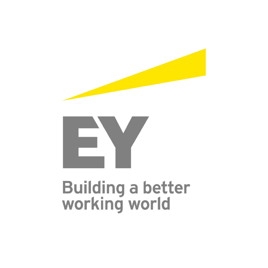 Ernst And Young Logo PNG Isolated HD