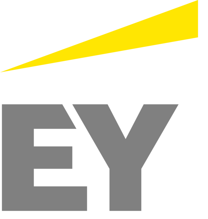 Ey Logo PNG Pic