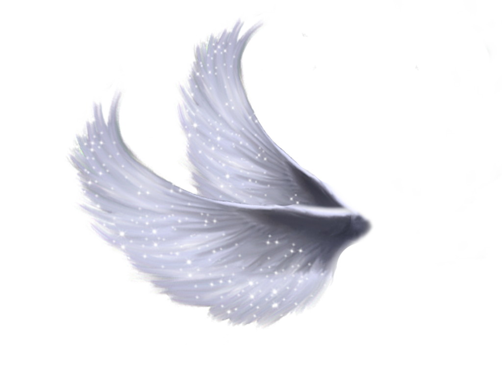 Fairy Wings PNG Isolated Image