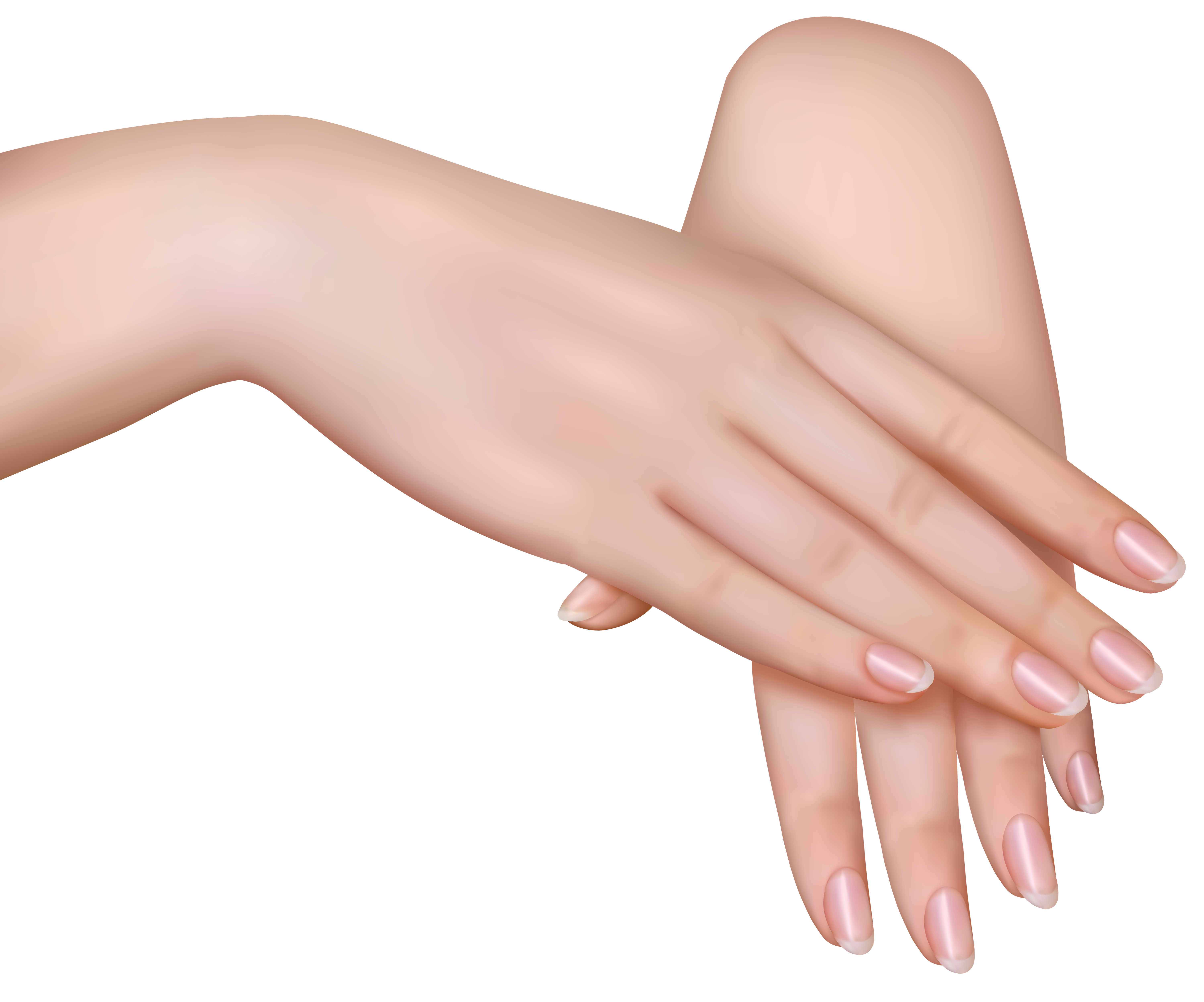Female Hand PNG Photo