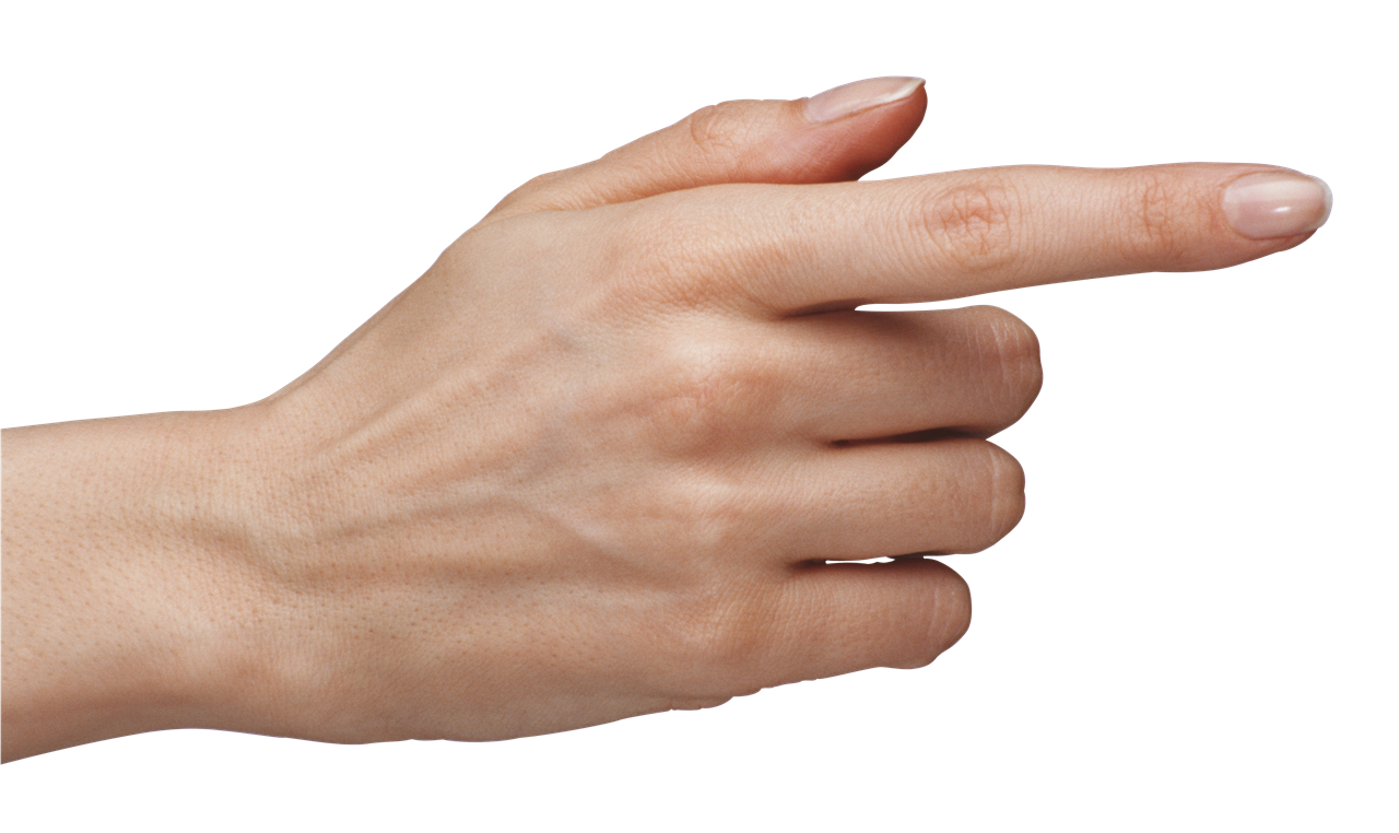 Female Hand PNG Transparent
