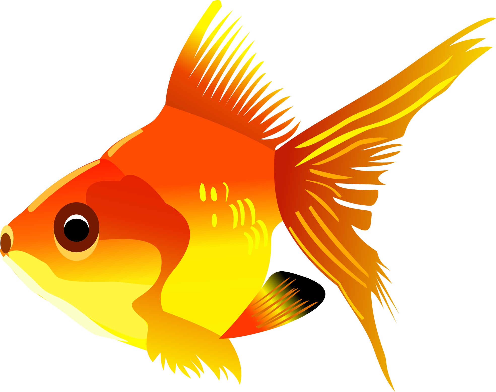 Fish Cartoon PNG File
