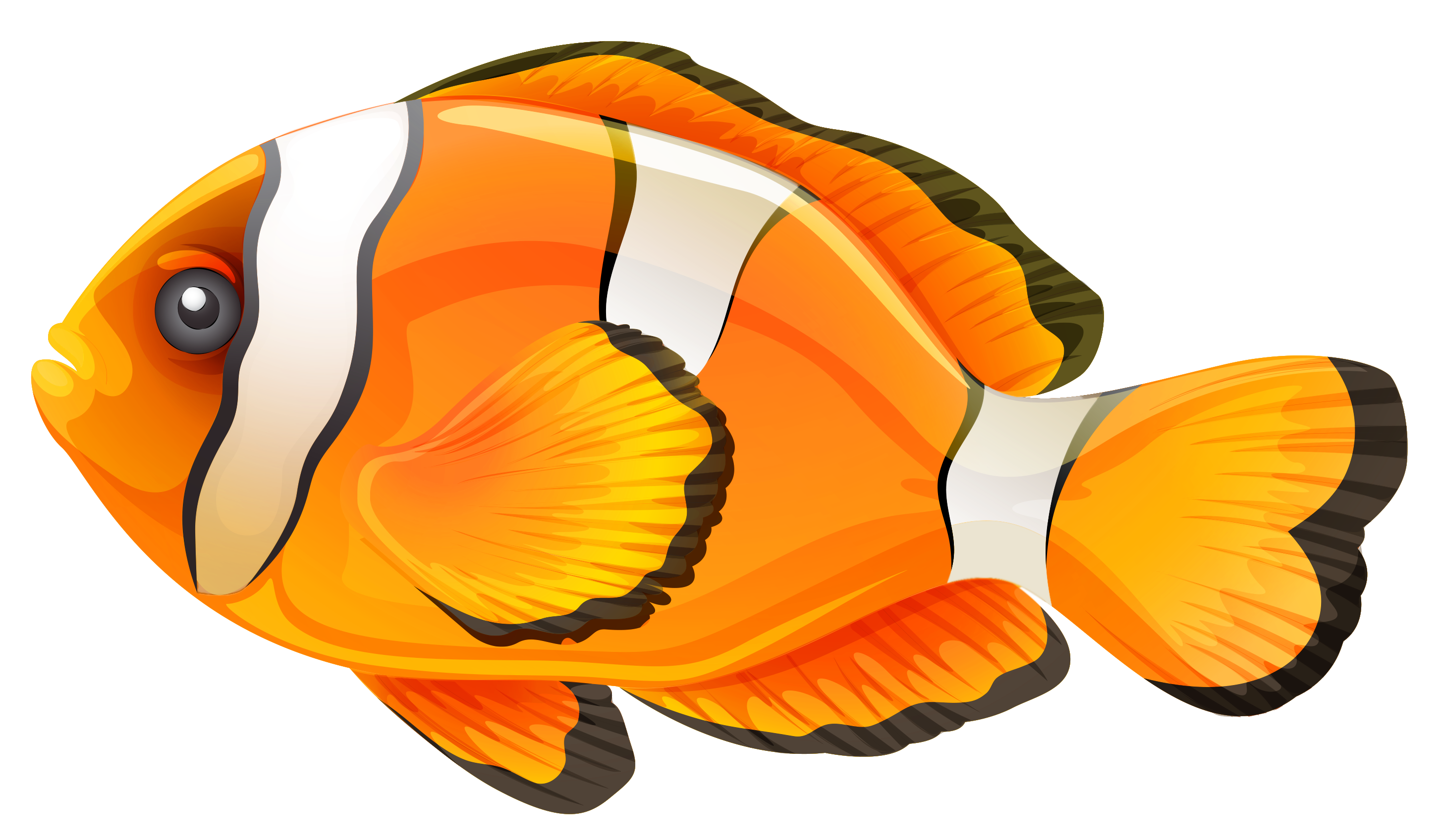 Fish Cartoon PNG Image