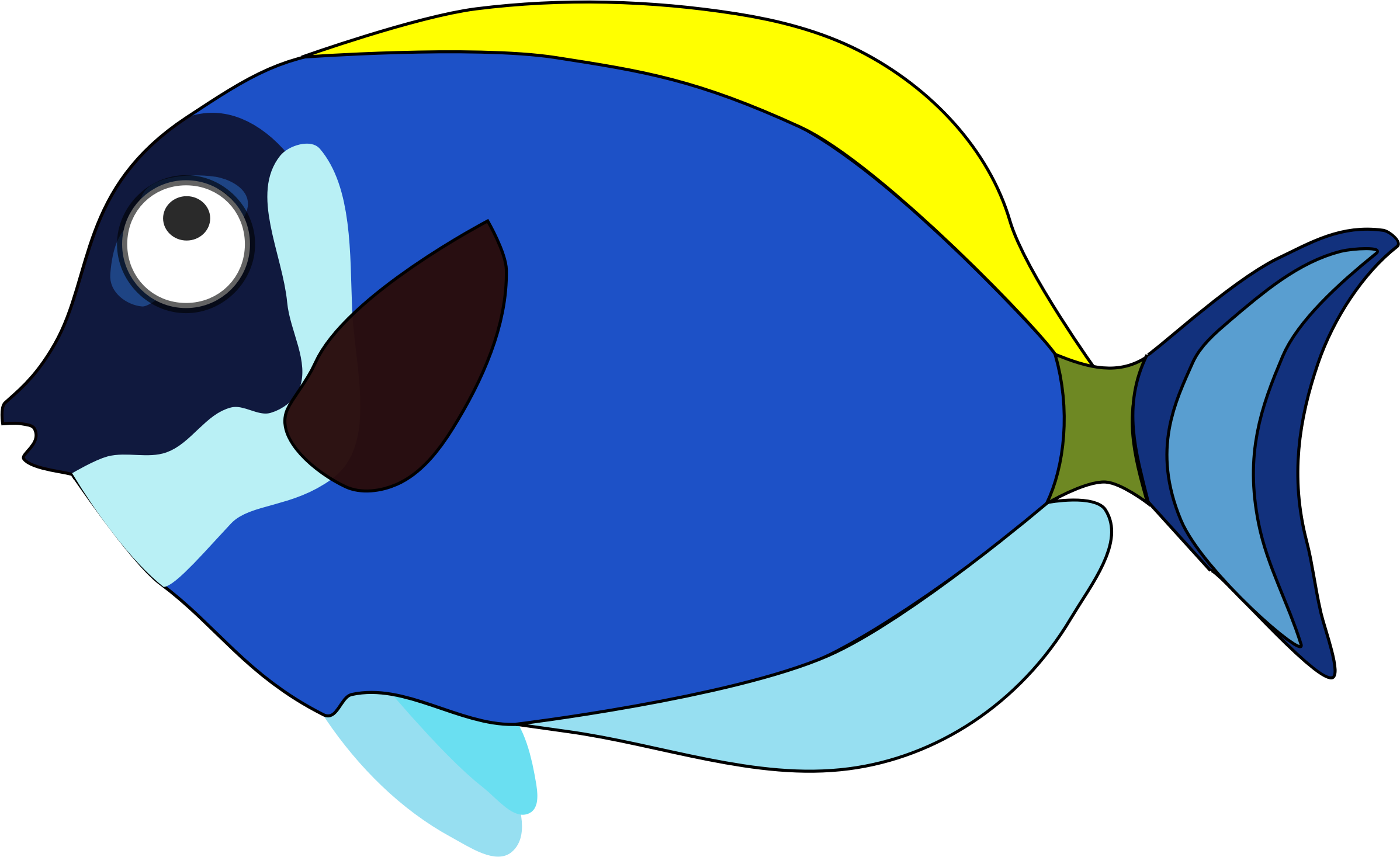 Fish Cartoon PNG Photo