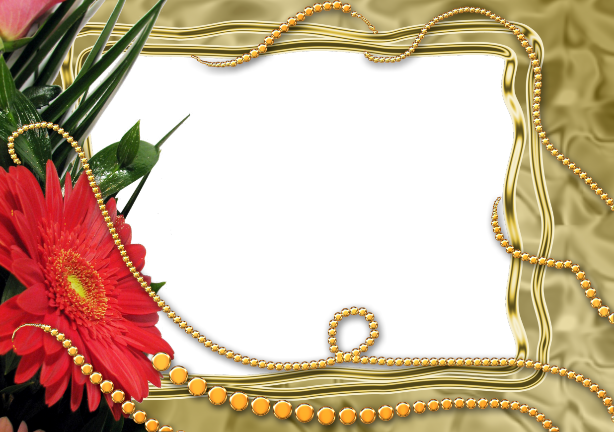 Frame PNG Filek PNG Isolated File