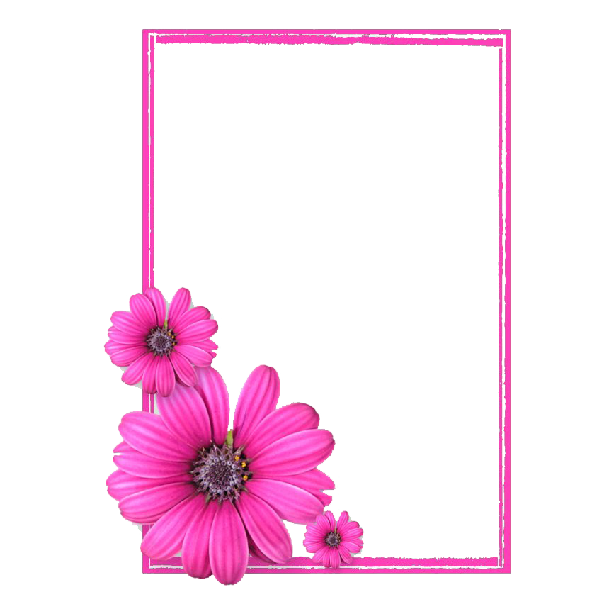 Frame Pink PNG Photo