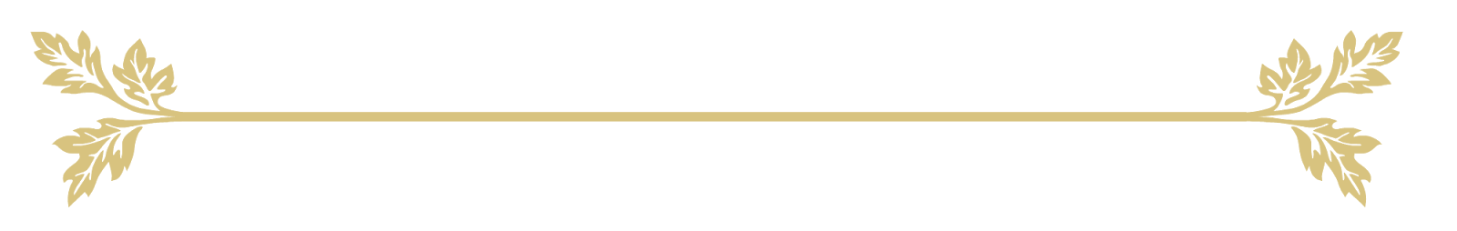 Gold Lines PNG