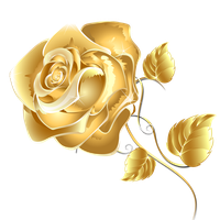 Gold Rose PNG Isolated Pic