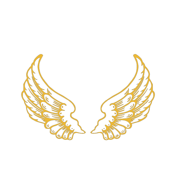 Gold Wings PNG Free Download