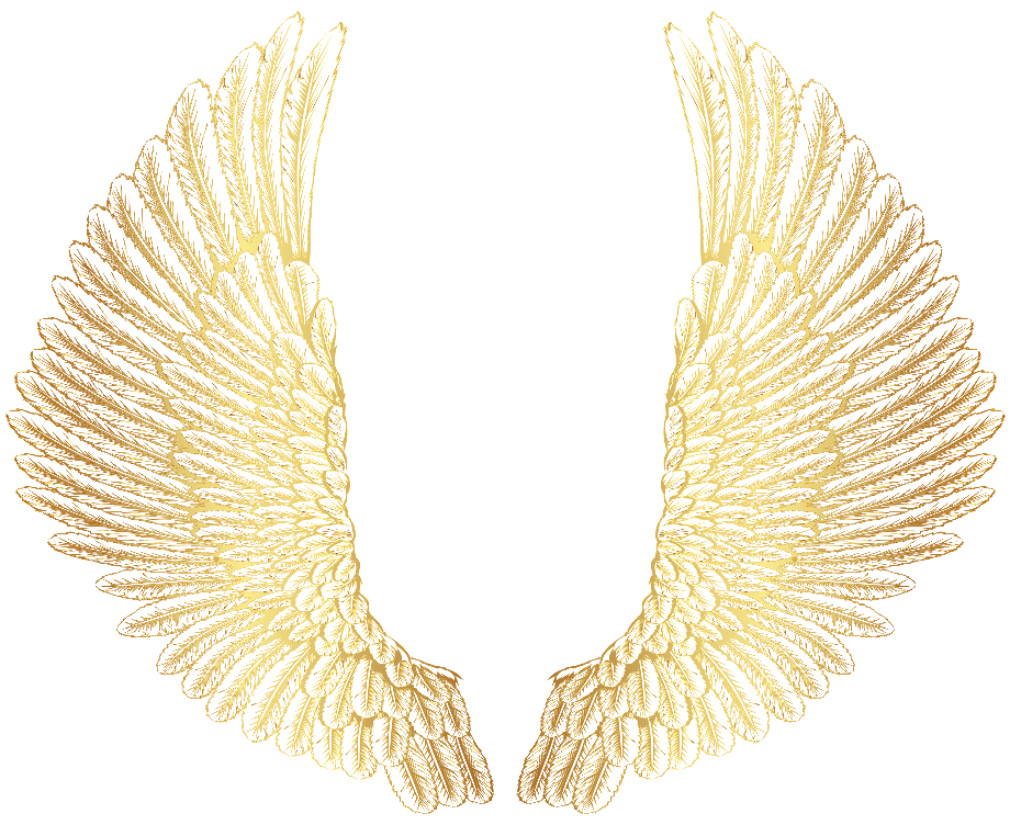Gold Wings PNG Isolated File