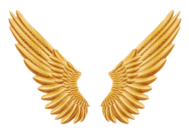 Gold Wings PNG Isolated HD