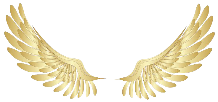 Gold Wings PNG Isolated Pic