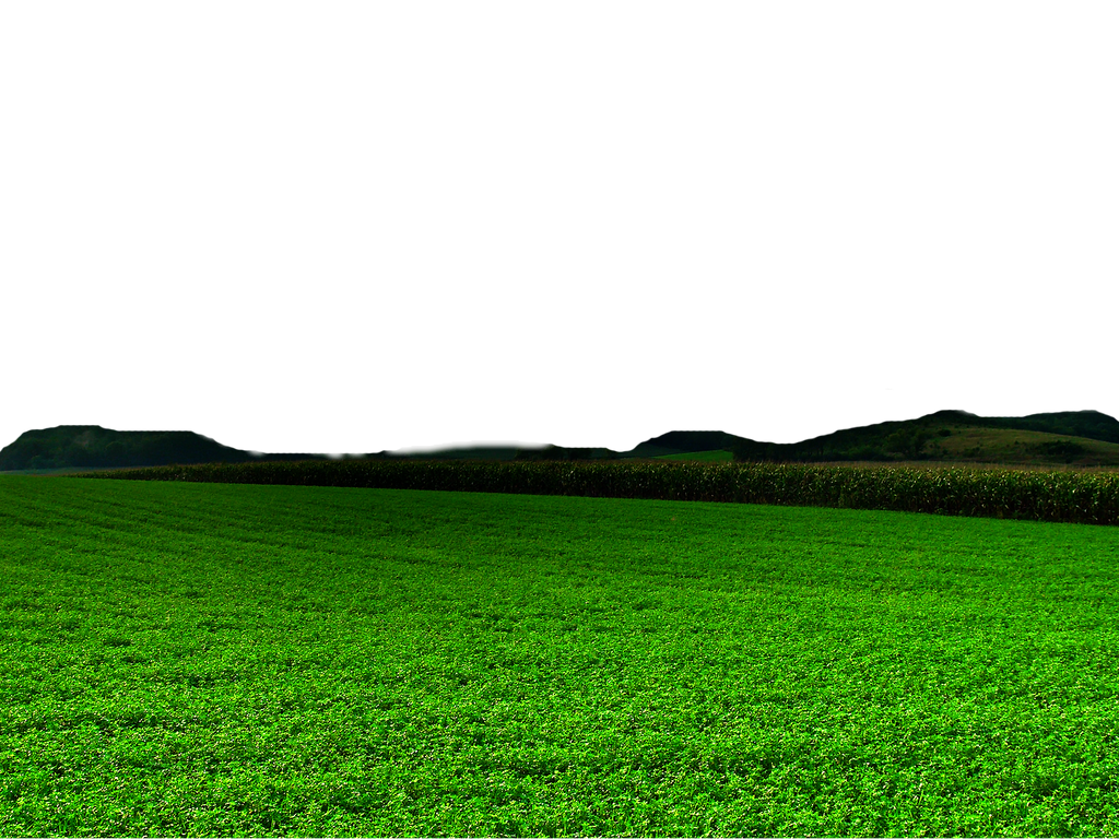 Green Land PNG Image