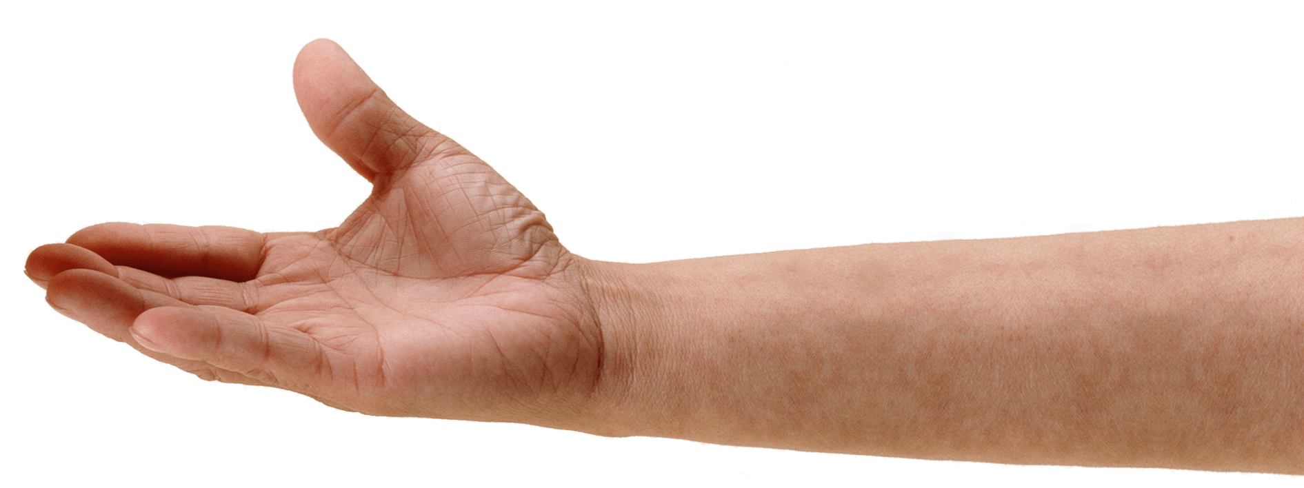 Hand Holding Something PNG File