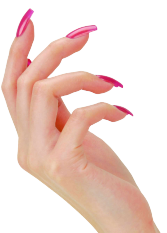 Hand With Nails PNG Isolated File