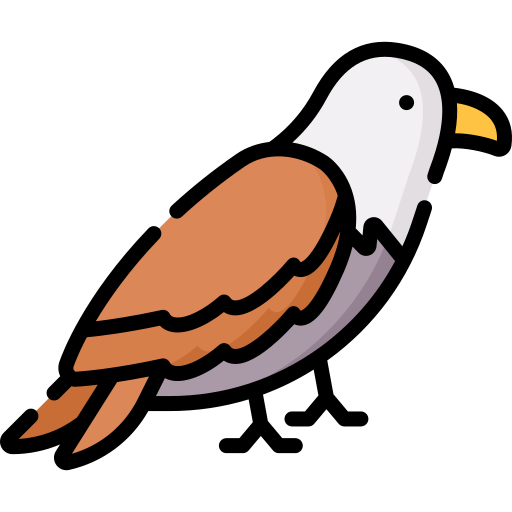 Hawk PNG Clipart