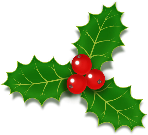 Holly PNG Pic