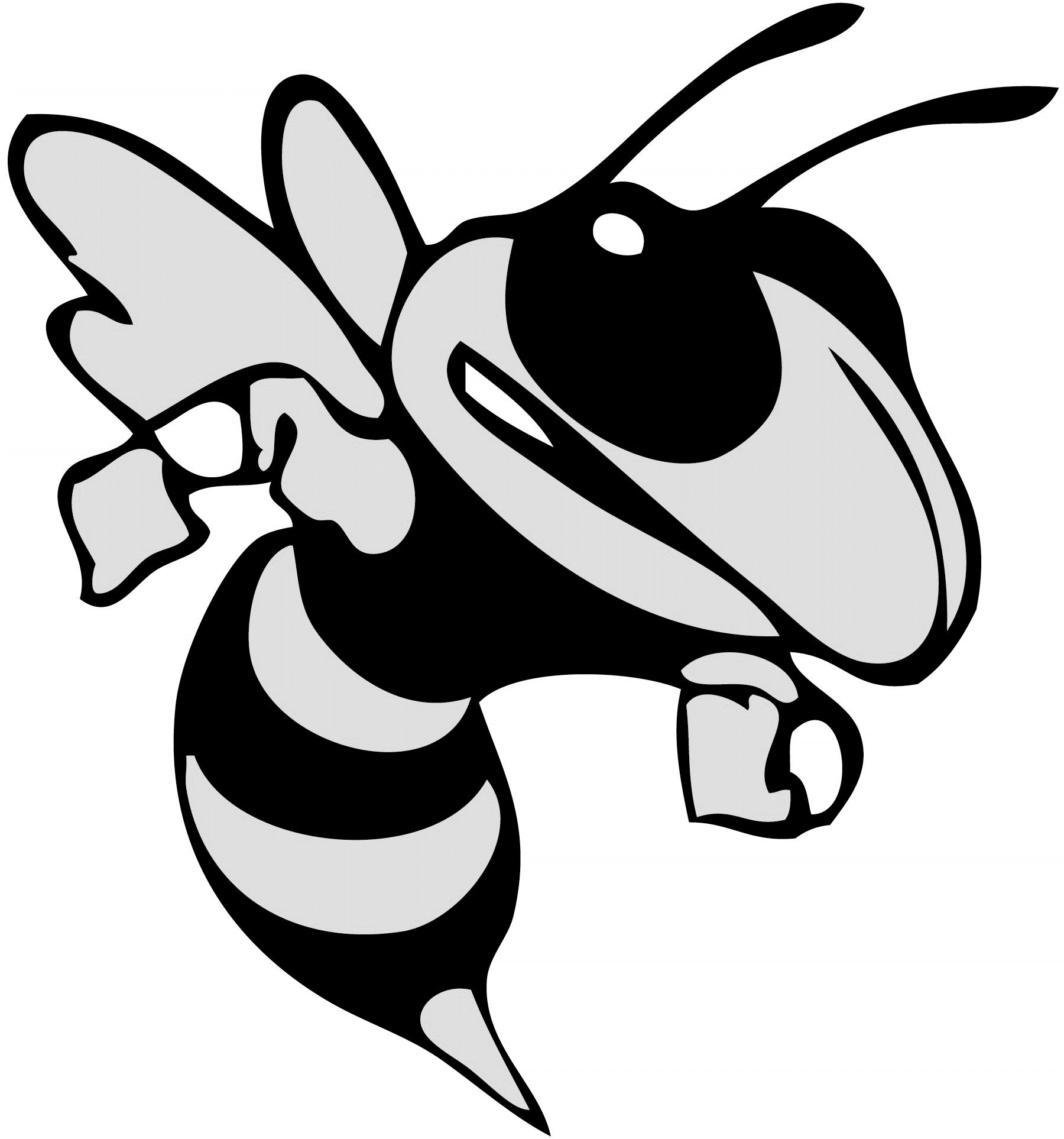 Hornets Logo PNG Isolated File