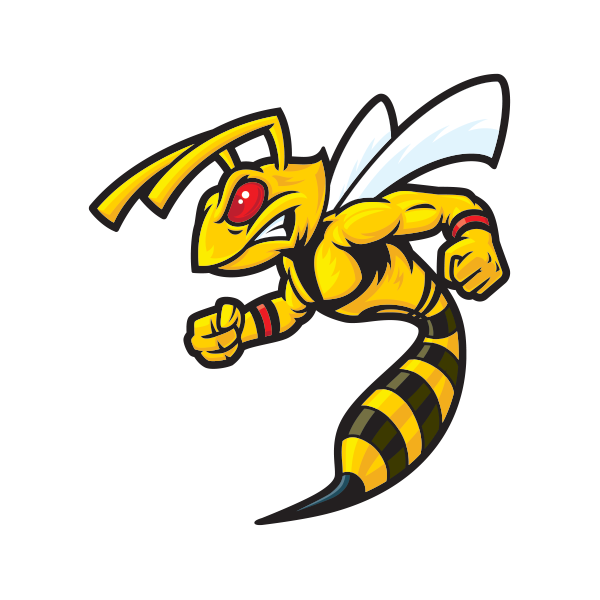 Hornets Logo PNG Picture