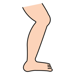 Legs PNG Clipart