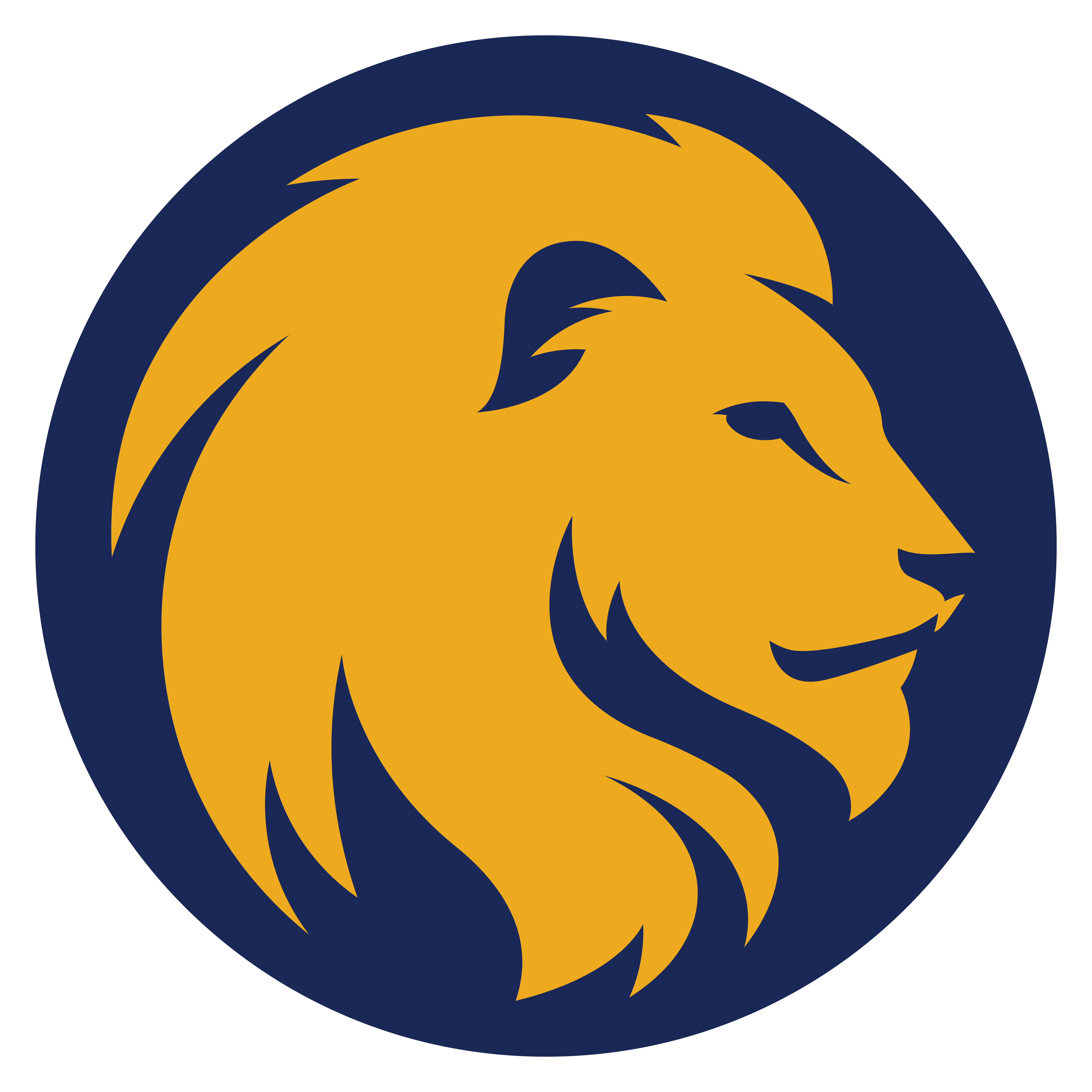Lion Logo PNG Pic