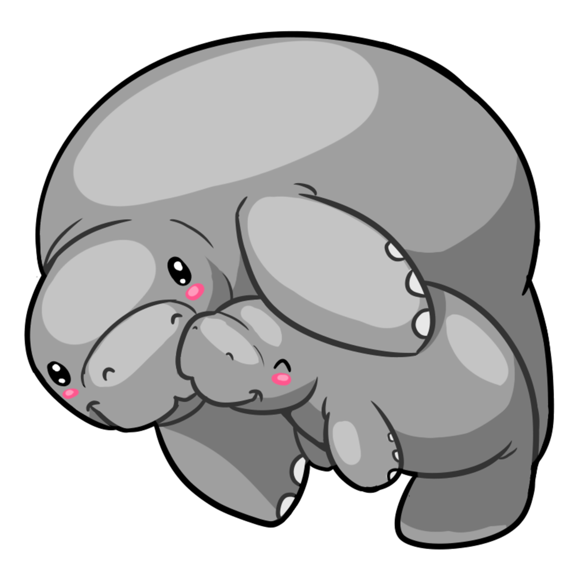 Manatee PNG Picture