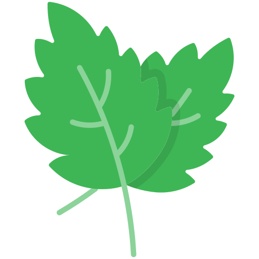 Mint Leaf Transparent PNG