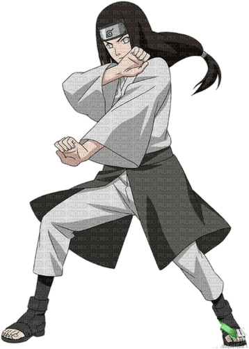 Neji PNG Picture